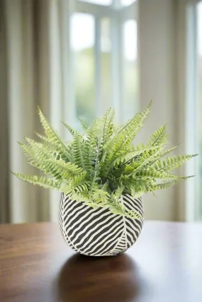 Artificial Black Printed Plant Cluster Ferns In Cement Pot